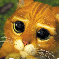 Ronald Figueroa Photo 8