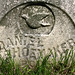 Daniel Shoemaker Photo 39