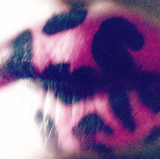 Bobbie Dunn Photo 10