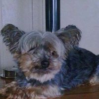 Diane Backus Photo 5