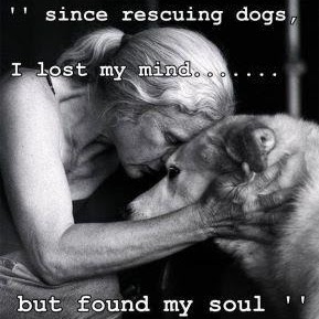 Betty Wilkinson Photo 24 Betty Wilkinson Photo 24