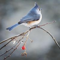 Megan Alexander Photo 29