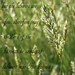 Tammy Wheat Photo 29