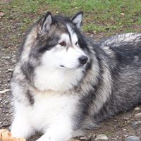 Patrick Vaughan Photo 22