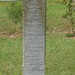 Dolores Malinowski Photo 7