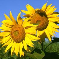 Aldo Franco Photo 10