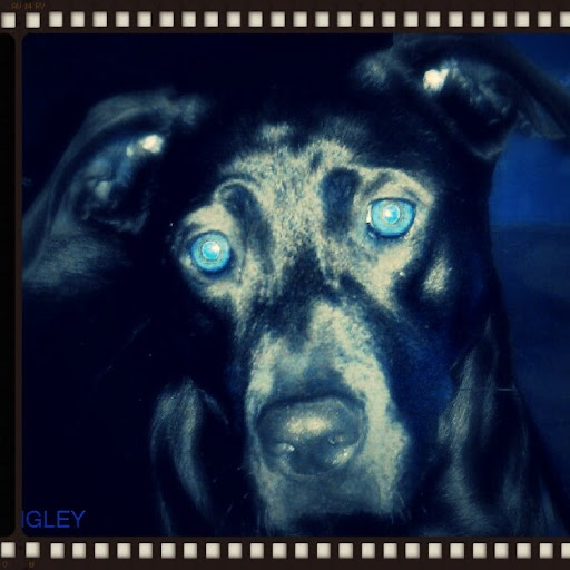 Janelle Powell Photo 10