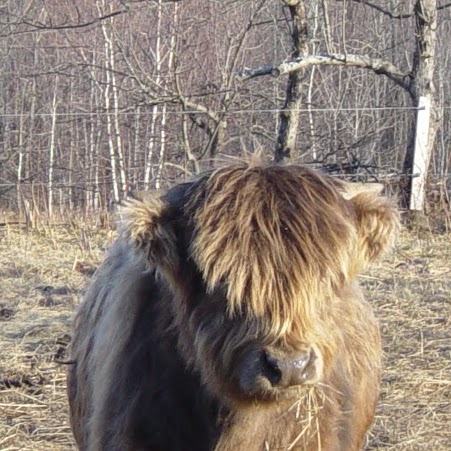 David Morrill Photo 28