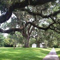 Elaine Sapp Photo 9