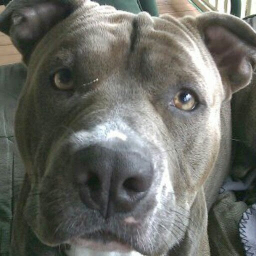 Carolyn Meek Photo 13