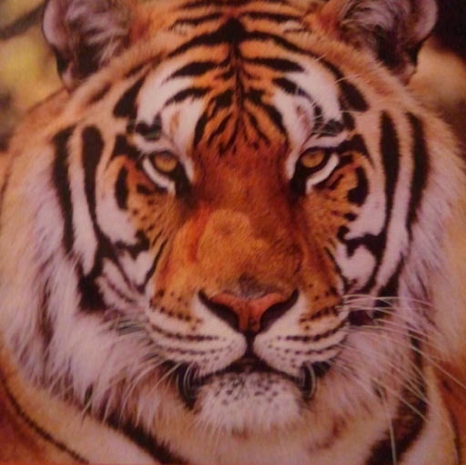 Kenneth Townsend Photo 30