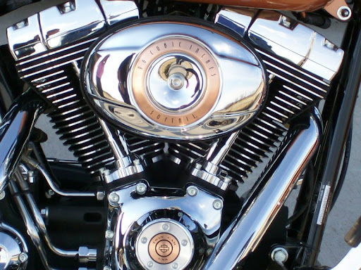 Patrick Agee Photo 15