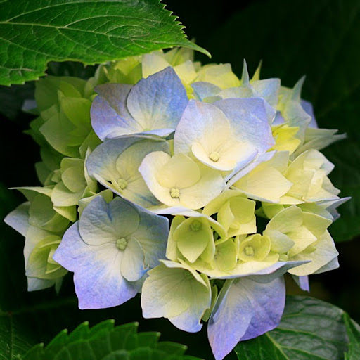 Robin Tucker Photo 12