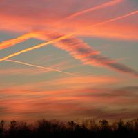 Daniel Dillard Photo 8