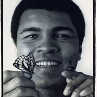 Walter Franks Photo 8