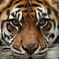 Mary Stanek Photo 25