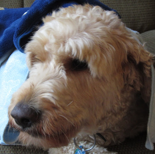 Philip Hauser Photo 11