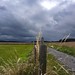 Peter Rhein Photo 10