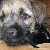 Suzanne Rees Photo 16