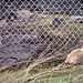 Robert Banks Photo 49