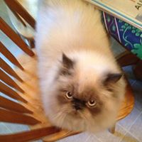 Charlene Buduo Photo 1