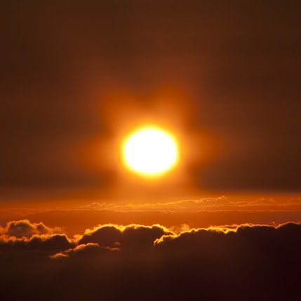 Mark Mallery Photo 12
