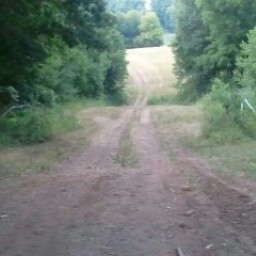 Mandy Powers Photo 14