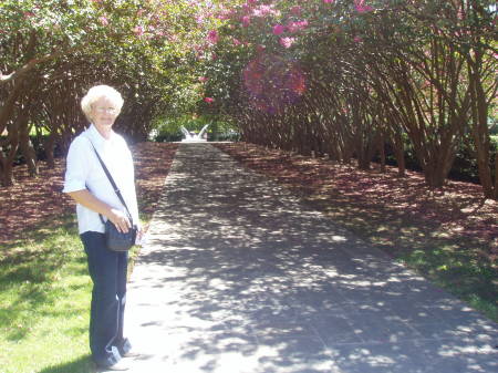 Linda Rodgers Photo 23