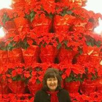 Cindy Potts Photo 41