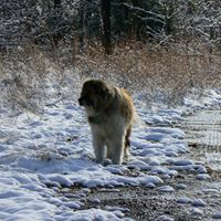 Susan Hollenbeck Photo 30