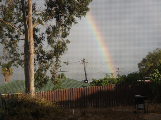 Cindy Osborne Photo 15