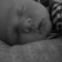 Suzanne Watkins Photo 36
