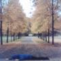 Carl Carlson Photo 8