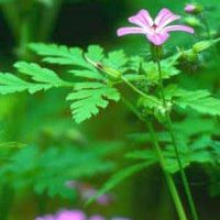 Holly Tanner Photo 13