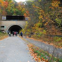 Michele Randall Photo 26