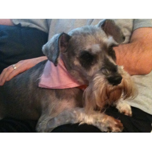 Elizabeth Huffman Photo 22