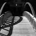 Timothy Randall Photo 22