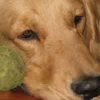 Laura Segovia Photo 30