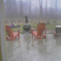 Nicole Vernon Photo 11