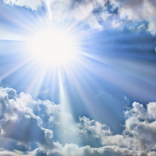 Sean Mcnally Photo 20