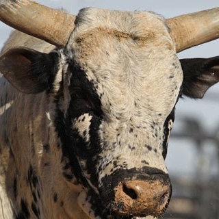 Cody Brewer Photo 10