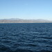 Barbara Goos Photo 8