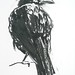 Peter Gilbert Photo 53