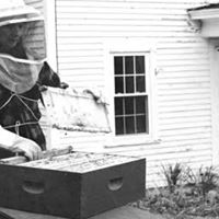 Robyn Holman Photo 4