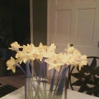 Nancy Rowley Photo 20