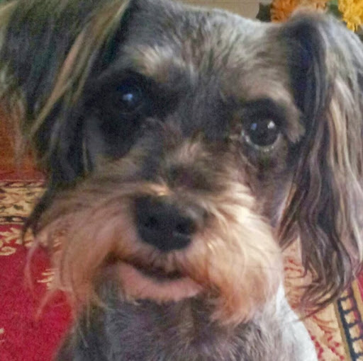 Brenda Bush Photo 12