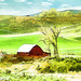 Susan Humphrey Photo 28