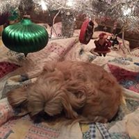 Cindy Bowden Photo 26