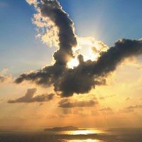 Christine Llewellyn Photo 4