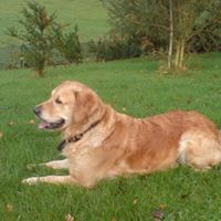 Martin Stubbs Photo 32